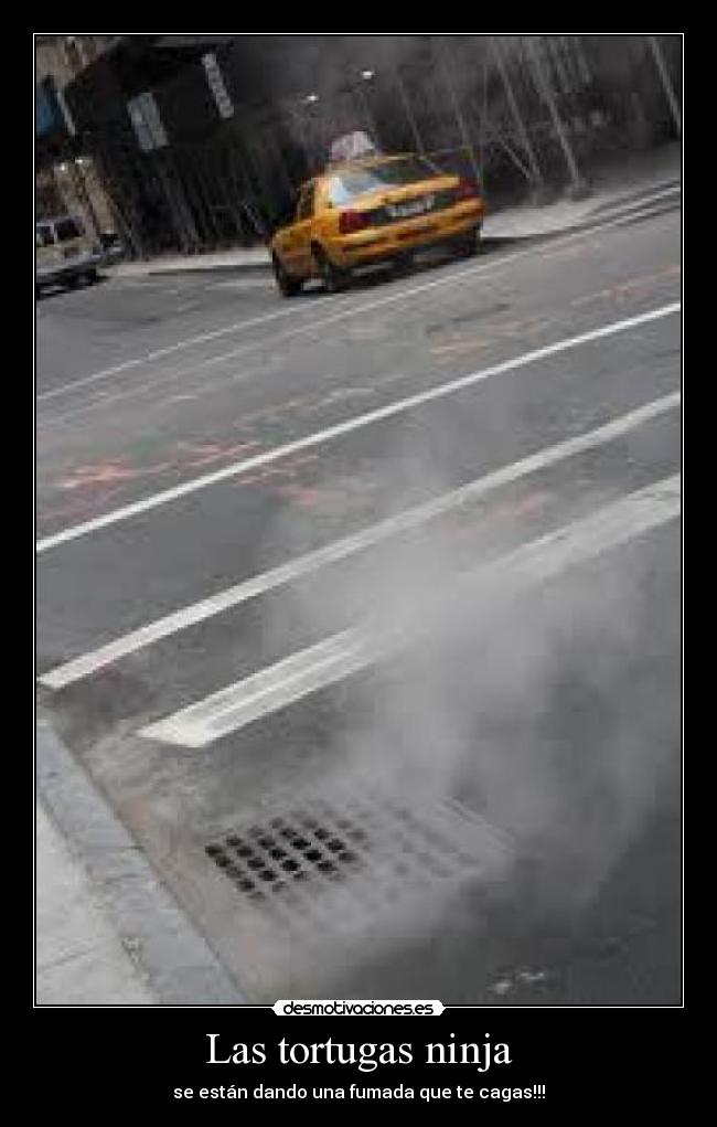 Las tortugas ninja - 