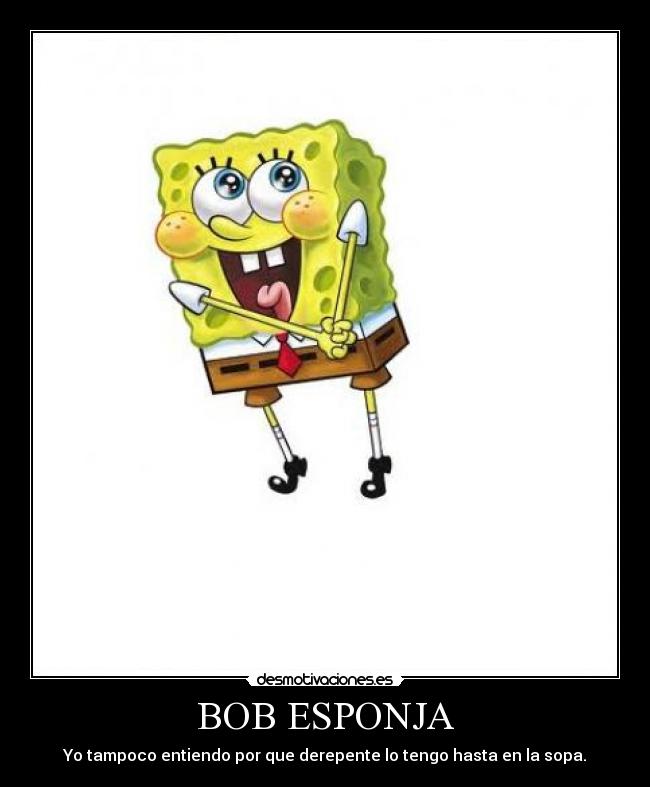 BOB ESPONJA - 