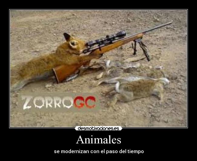 Animales - 