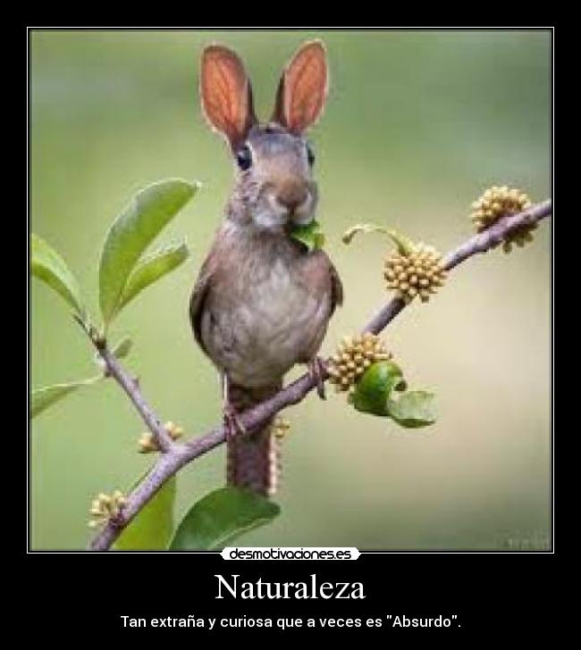 Naturaleza -