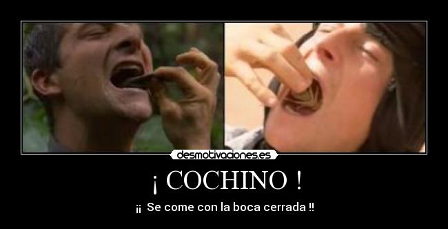 ¡ COCHINO ! -