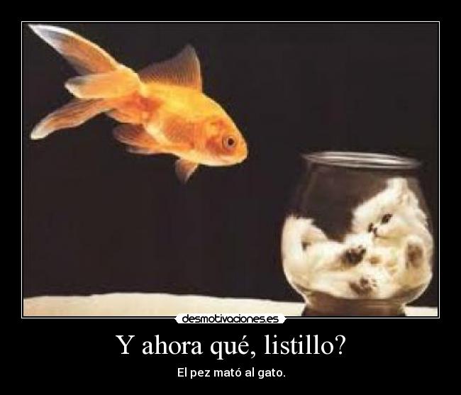 Y ahora qué, listillo? -