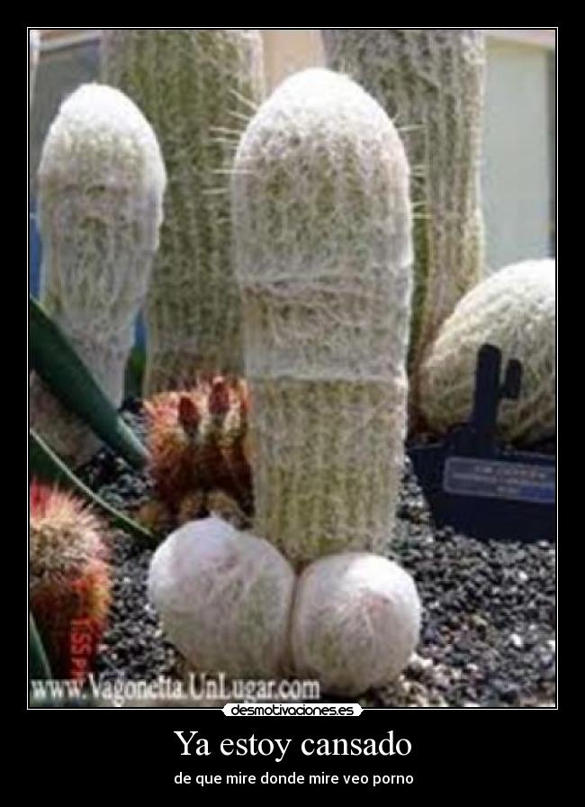 Ya estoy cansado - de que mire donde mire veo porno
