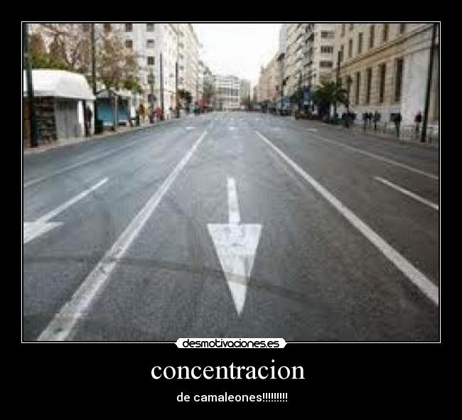concentracion - de camaleones!!!!!!!!!