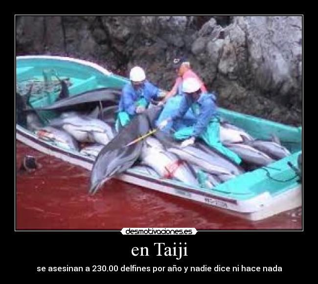 en Taiji -