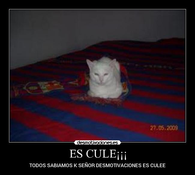 ES CULE¡¡¡ - 