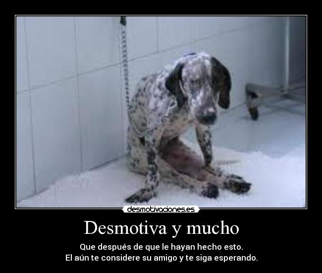 Desmotiva y mucho -