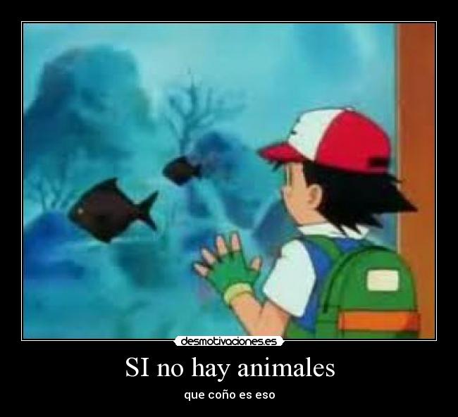 SI no hay animales - que coño es eso