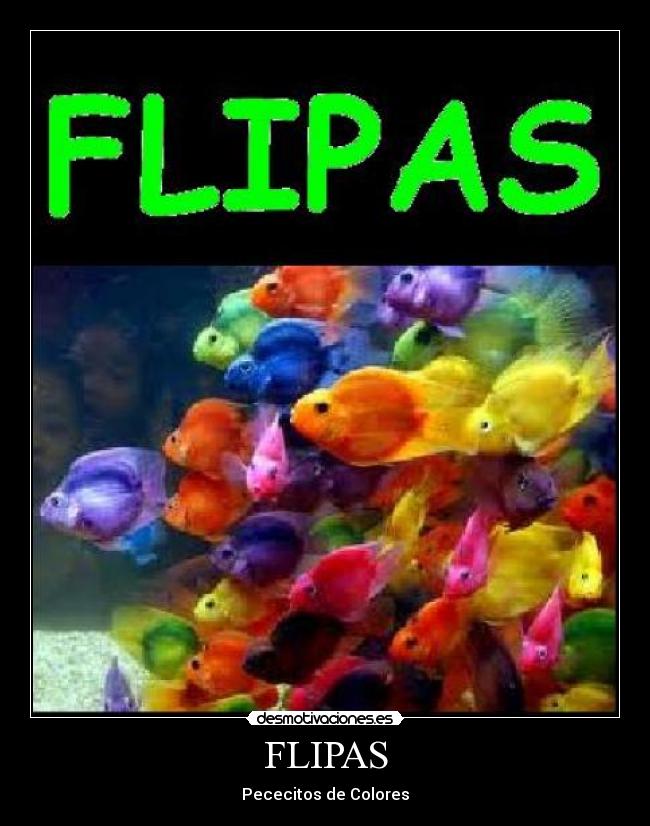 FLIPAS - Pececitos de Colores