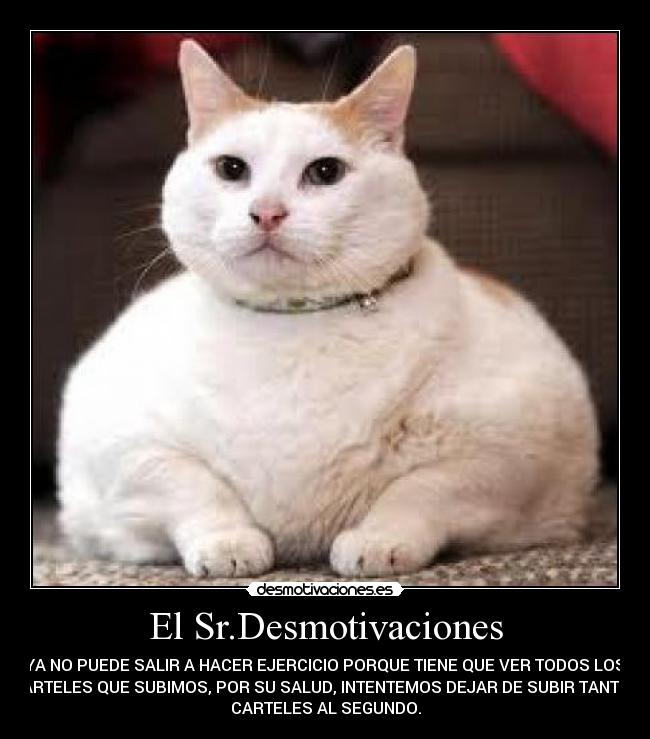 El Sr.Desmotivaciones - 