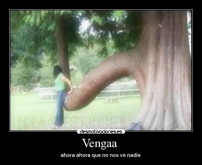 carteles vengaa desmotivaciones