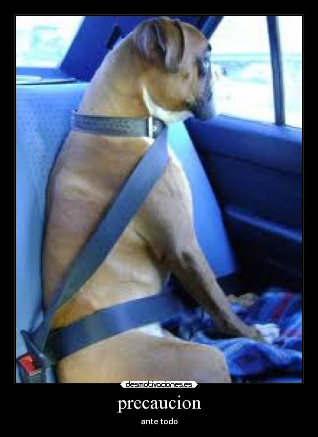 precaucion - 
