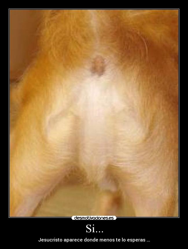 Si... - Jesucristo aparece donde menos te lo esperas ...