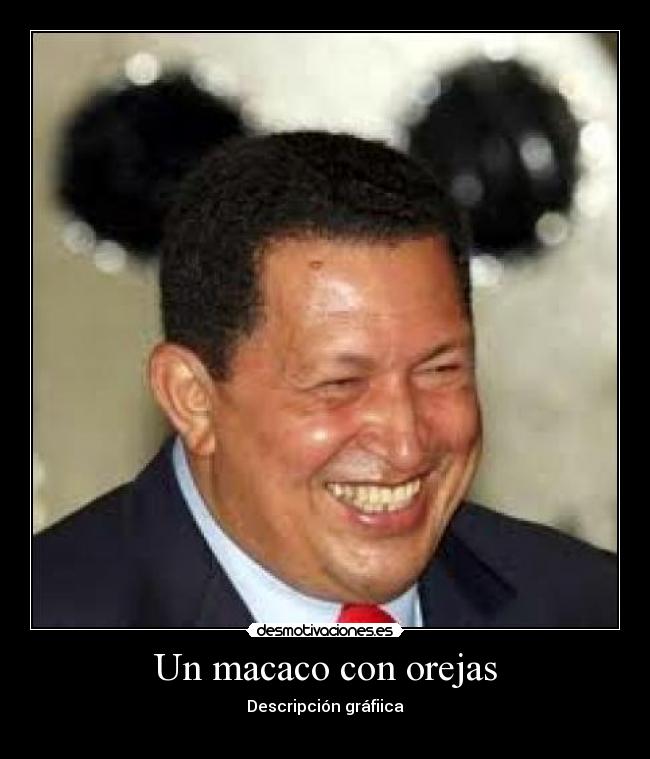 Un macaco con orejas -