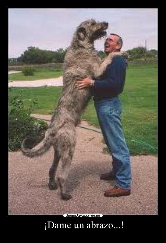 ¡Dame un abrazo...! -
