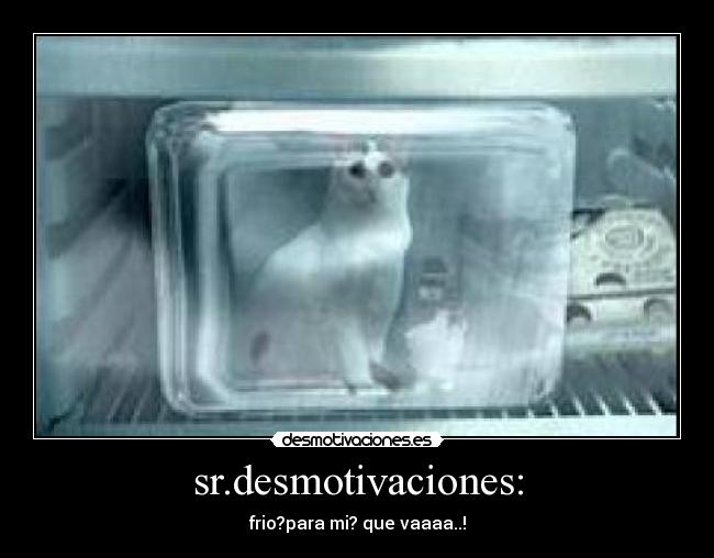 sr.desmotivaciones: - frio?para mi? que vaaaa..!