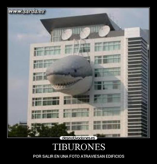 TIBURONES -