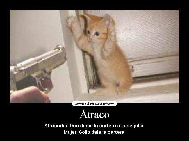 Atraco - Atracador: Dña deme la cartera o la degollo 
Mujer: Gollo dale la cartera 