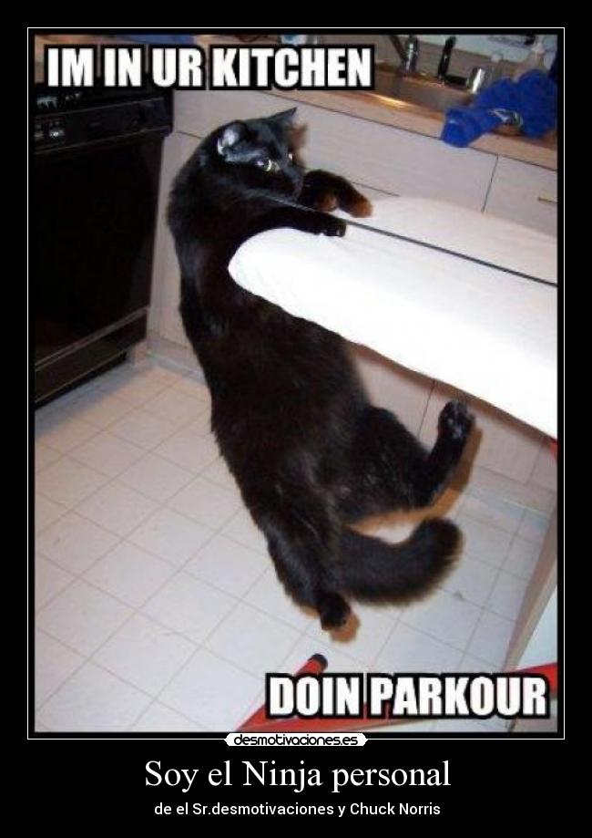Soy el Ninja personal - de el Sr.desmotivaciones y Chuck Norris
