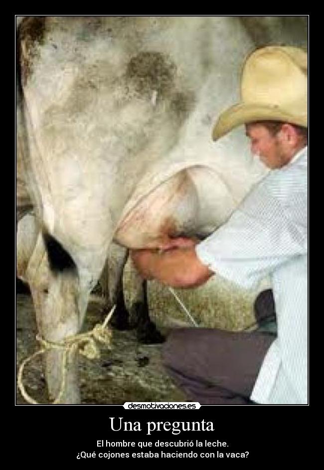 Una pregunta - El hombre que descubrió la leche.
¿Qué cojones estaba haciendo con la vaca?