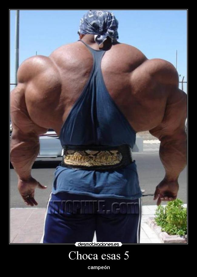 carteles forzudo fuerte cachas desmotivaciones