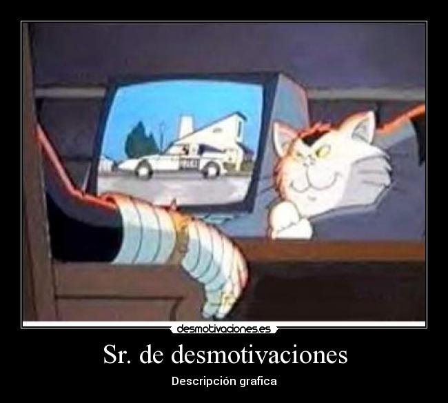 Sr. de desmotivaciones - 