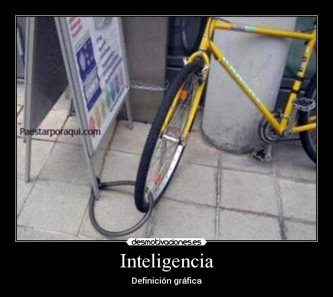 Inteligencia - Definición gráfica