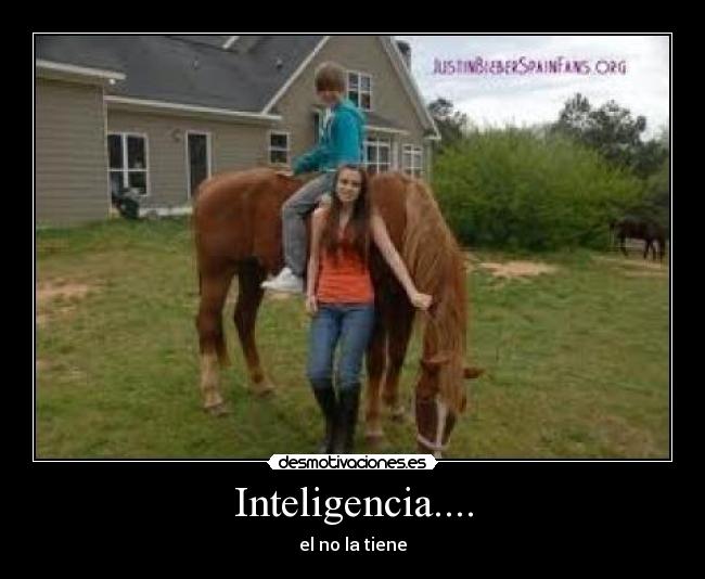 Inteligencia.... - 