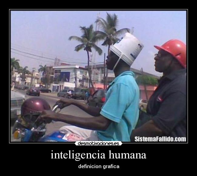 inteligencia humana - definicion grafica