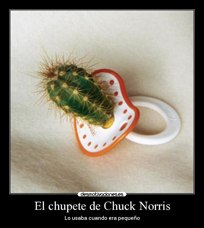 El chupete de Chuck Norris - Lo usaba cuando era pequeño