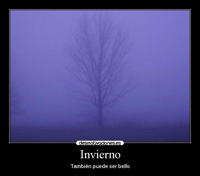 Invierno - También puede ser bello