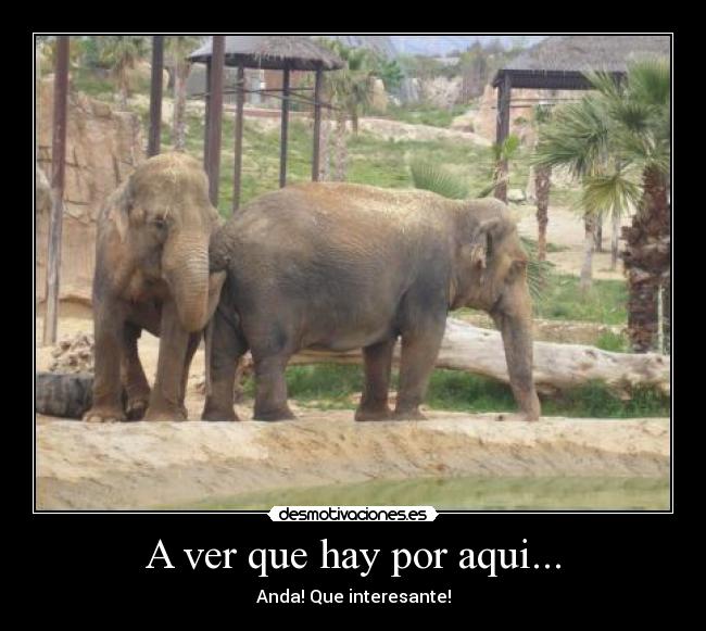 A ver que hay por aqui... -