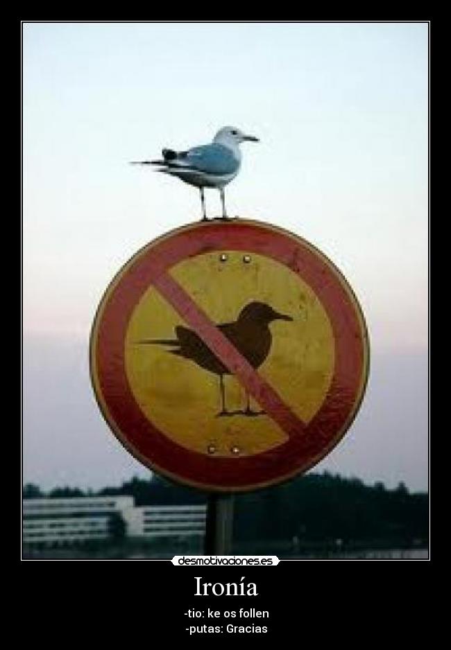 Ironía - -tio: ke os follen
-putas: Gracias