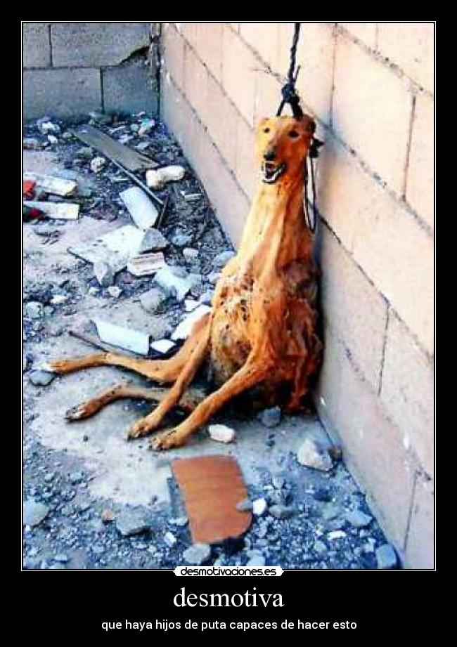desmotiva - que haya hijos de puta capaces de hacer esto