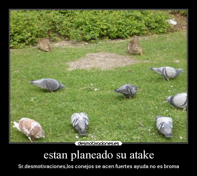 carteles ayudaaaaa desmotivaciones