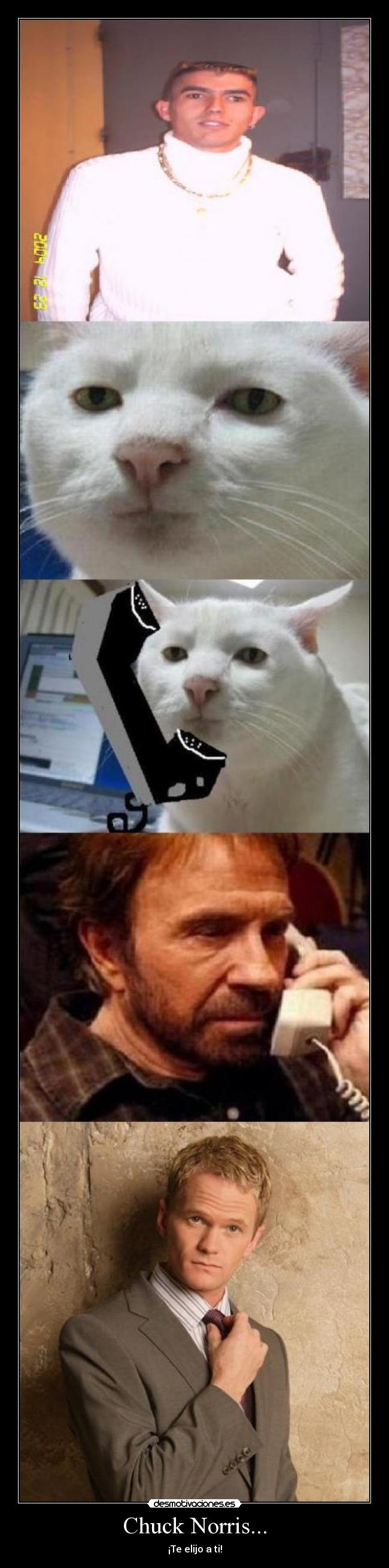Chuck Norris... - ¡Te elijo a ti!