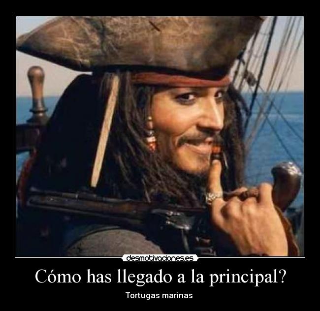 Cómo has llegado a la principal? - 