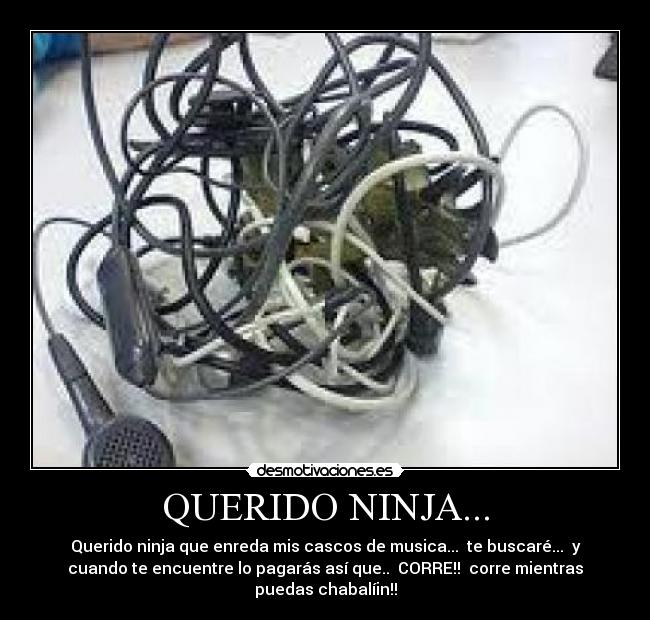 QUERIDO NINJA... - Querido ninja que enreda mis cascos de musica...  te buscaré...  y
cuando te encuentre lo pagarás así que..  CORRE!!  corre mientras
puedas chabalíin!!