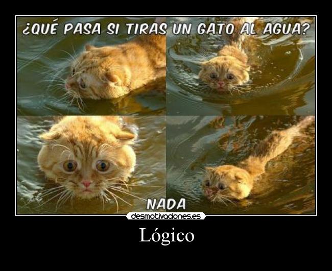 Lógico -