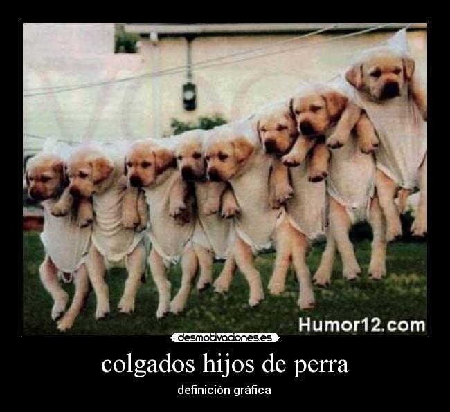 colgados hijos de perra -