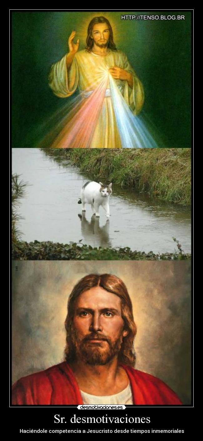 Sr. desmotivaciones - 