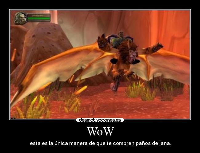 WoW -