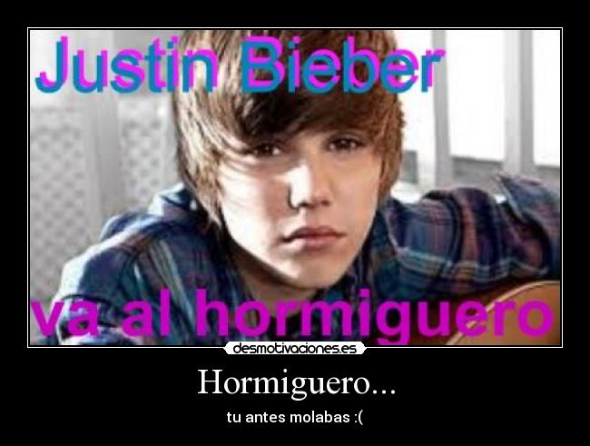 carteles bieber desmotivaciones