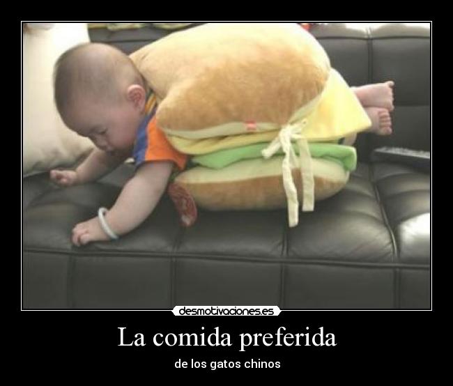 La comida preferida - de los gatos chinos