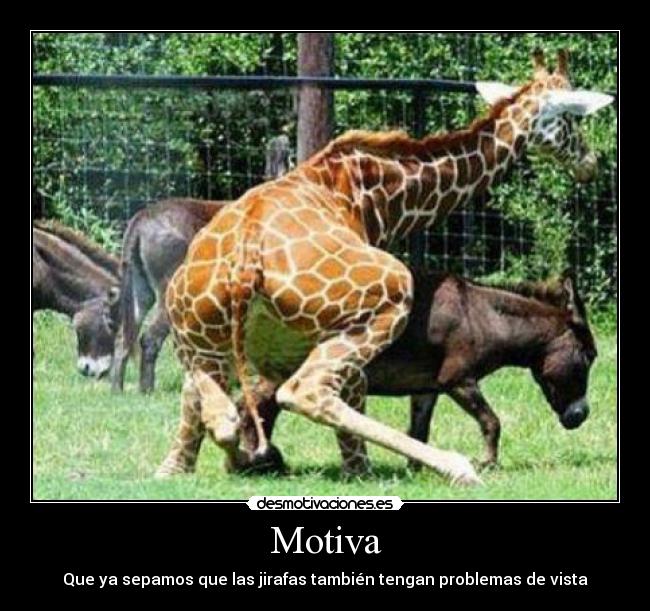 carteles fudre desmotivaciones