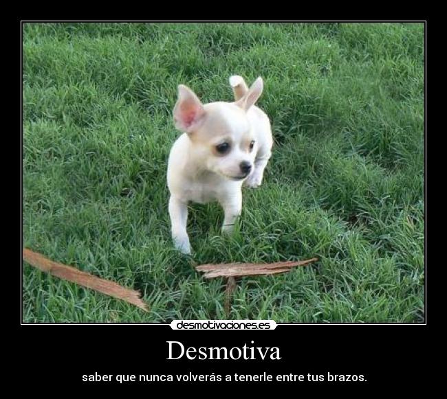Desmotiva - 