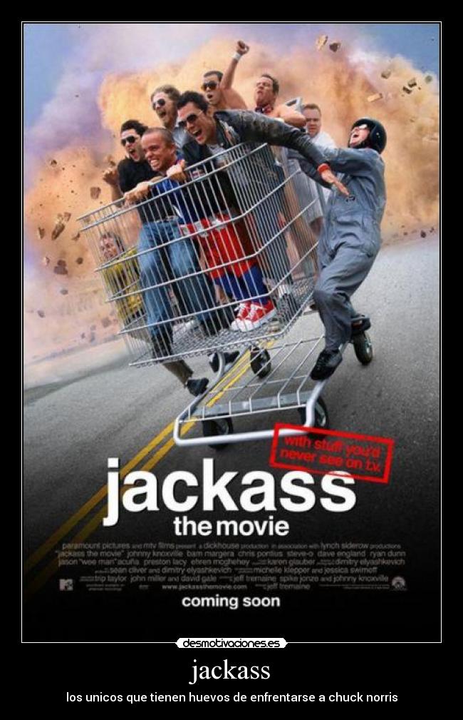 jackass - los unicos que tienen huevos de enfrentarse a chuck norris