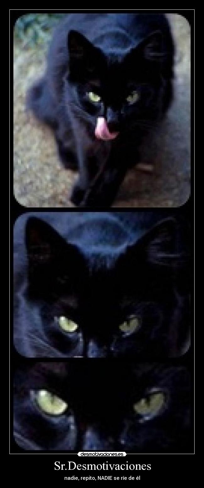 Sr.Desmotivaciones - 