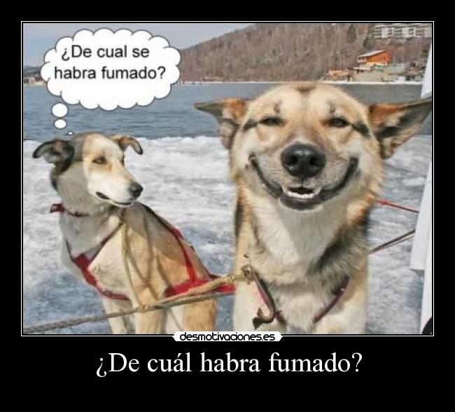 ¿De cuál habra fumado? -