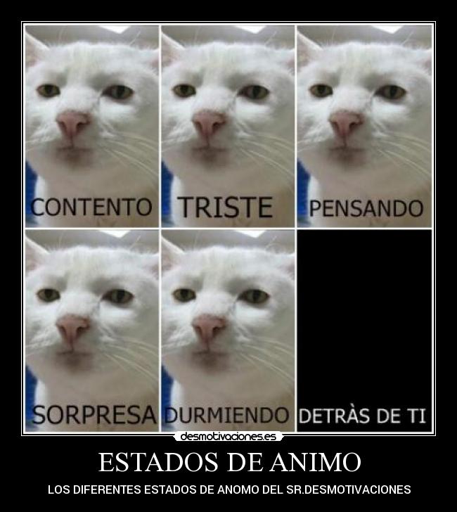 ESTADOS DE ANIMO - 